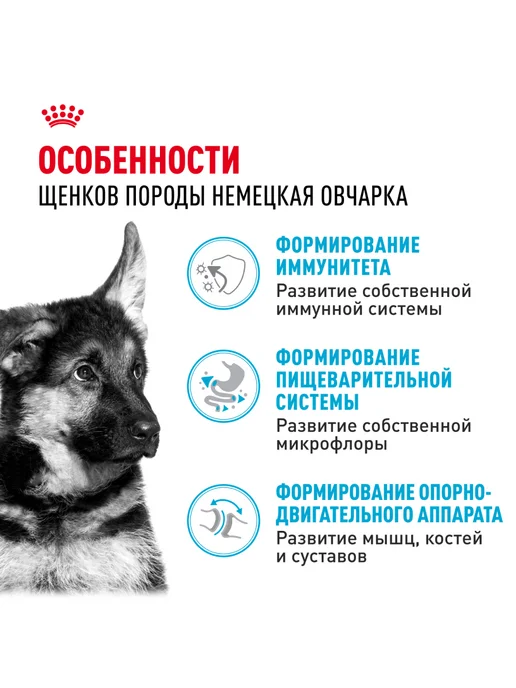 Сухой корм Royal canin Немецкая Овчарка для собак, щенки, курица, 12 кг, фото 2