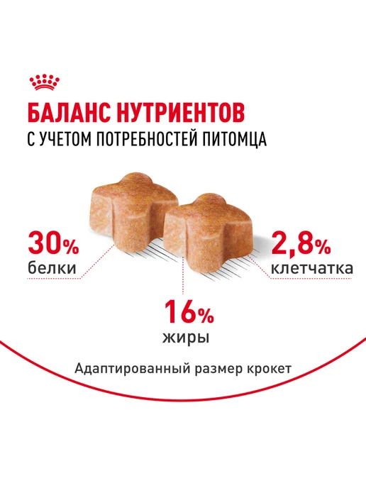 Сухой корм Royal canin Немецкая Овчарка для собак, щенки, курица, 12 кг, фото 4