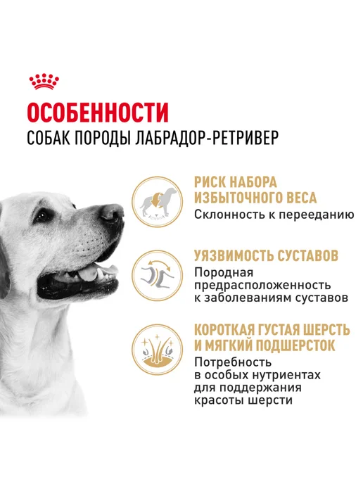 Сухой корм Royal canin Лабрадор для собак, 12 кг, фото 2