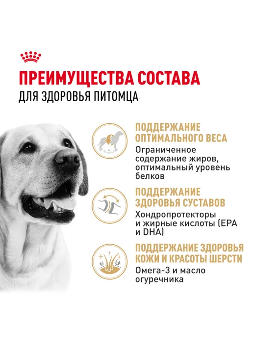 Сухой корм Royal canin Лабрадор для собак, 12 кг, фото 3