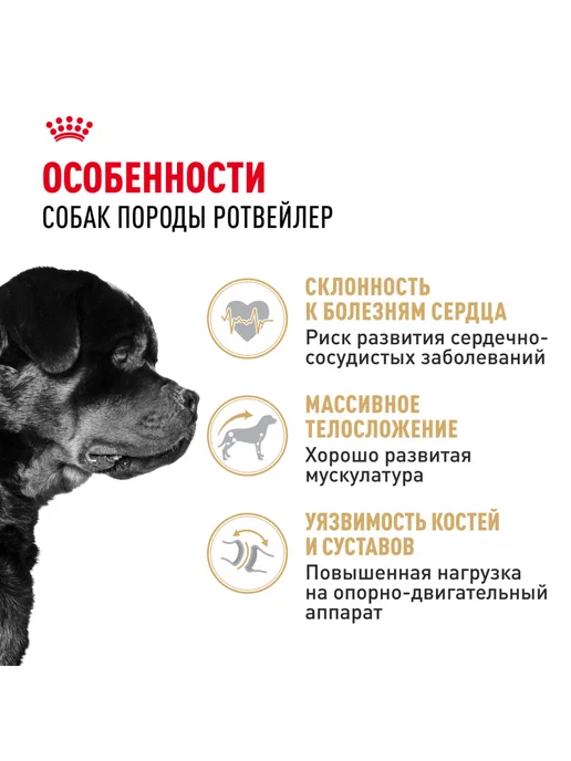 Сухой корм Royal canin Ротвейлер для собак, 12 кг, фото 2