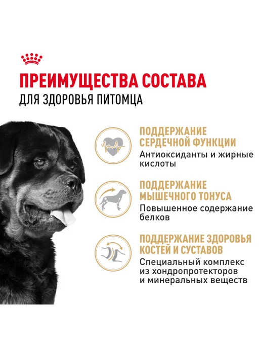 Сухой корм Royal canin Ротвейлер для собак, 12 кг, фото 3