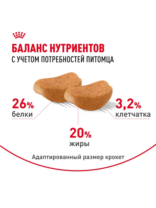 Сухой корм Royal canin Ротвейлер для собак, 12 кг, фото 4