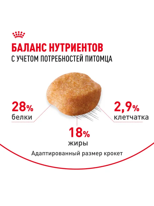 Сухой корм Royal canin Йоркширский Терьер для собак, 1,5 кг, фото 4
