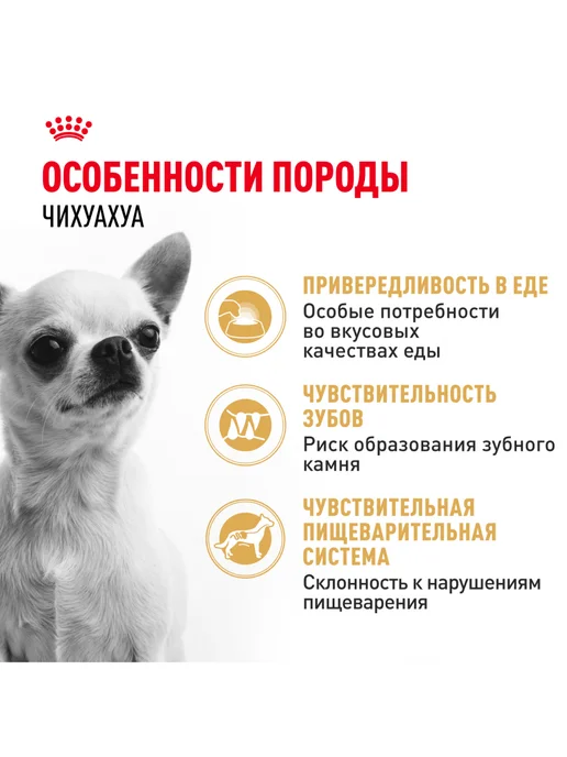 Сухой корм Royal canin Чихуахуа для собак, курица, 1,5 кг, фото 2