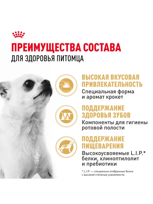 Сухой корм Royal canin Чихуахуа для собак, курица, 1,5 кг, фото 3