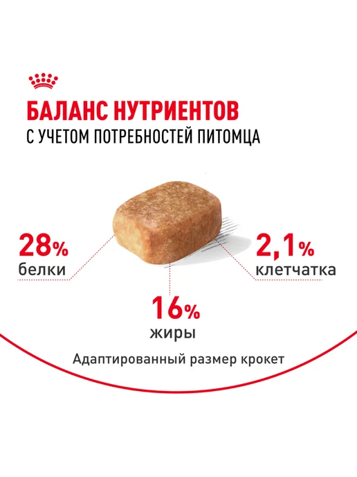 Сухой корм Royal canin Чихуахуа для собак, курица, 1,5 кг, фото 4