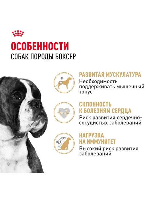 Сухой корм Royal canin Боксер для собак, 12 кг, фото 2