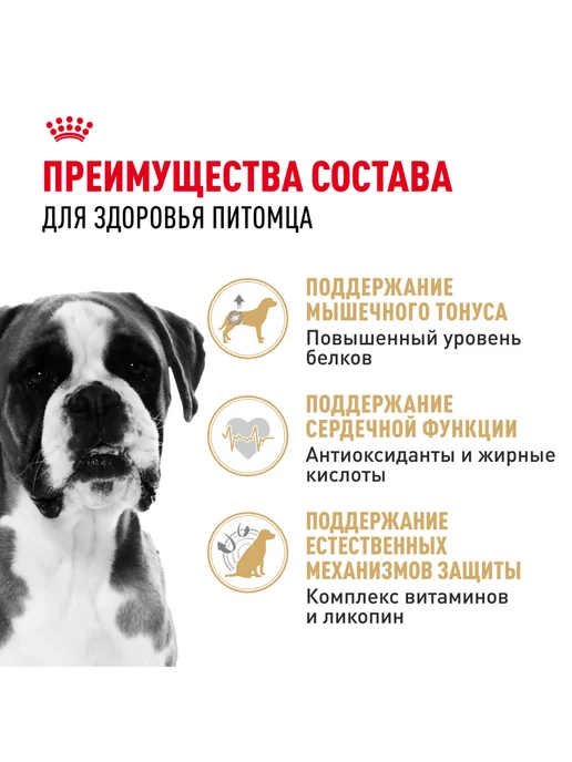 Сухой корм Royal canin Боксер для собак, 12 кг, фото 3