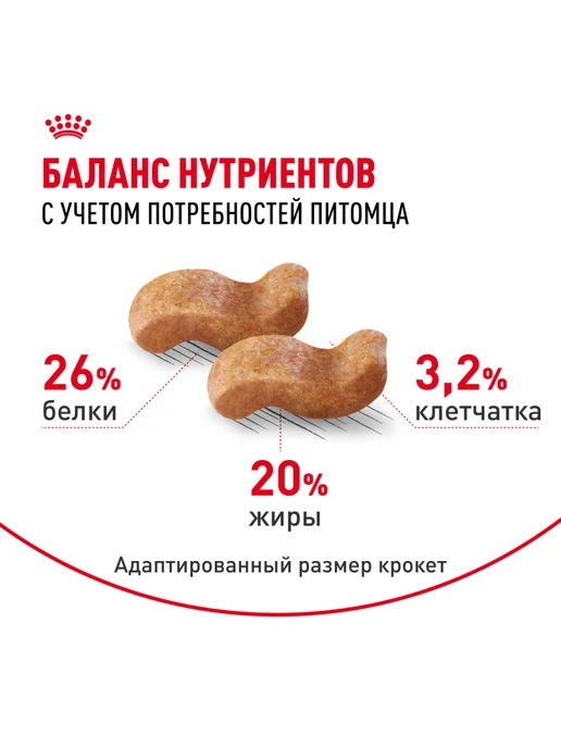 Сухой корм Royal canin Боксер для собак, 12 кг, фото 4