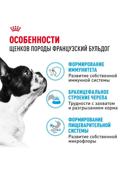 Сухой корм Royal canin Французский Бульдог для собак, щенки, 10 кг, фото 2