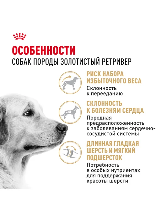 Сухой корм Royal canin Золотой Ретривер для собак, 12 кг, фото 2