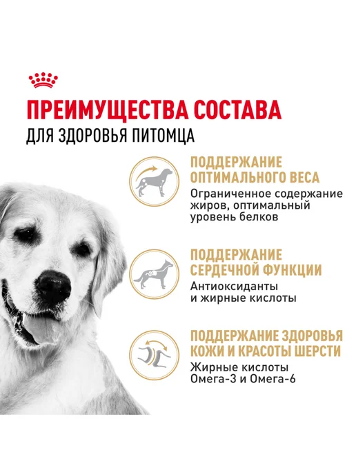 Сухой корм Royal canin Золотой Ретривер для собак, 12 кг, фото 3