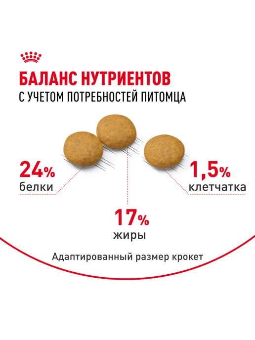 Сухой корм Royal canin Dermacomfort для собак, средние, 10 кг, фото 4
