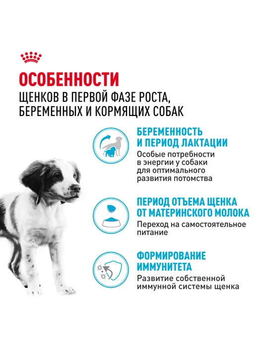 Сухой корм Royal canin Starter для собак, средние, щенки, 12 кг, фото 2