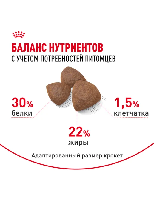 Сухой корм Royal canin Starter для собак, средние, щенки, 12 кг, фото 4