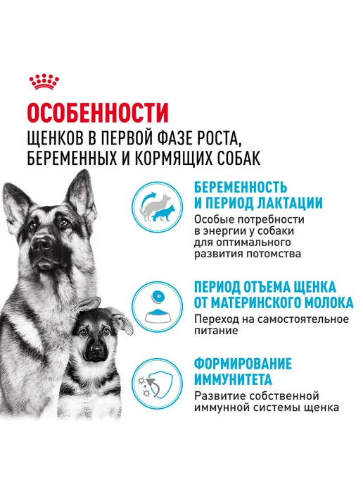 Сухой корм Royal canin Starter для собак, крупные, щенки, 15 кг, фото 2