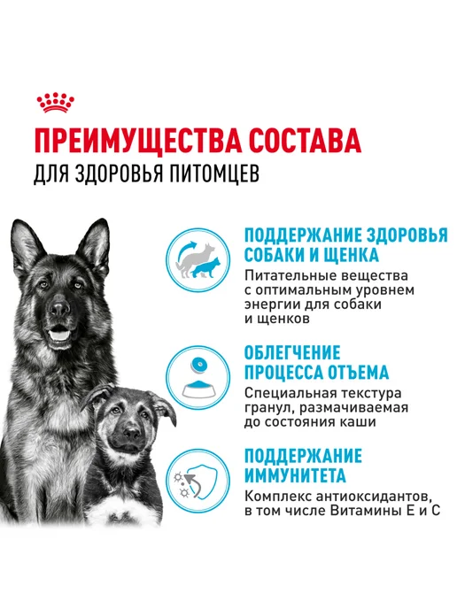 Сухой корм Royal canin Starter для собак, крупные, щенки, 15 кг, фото 3