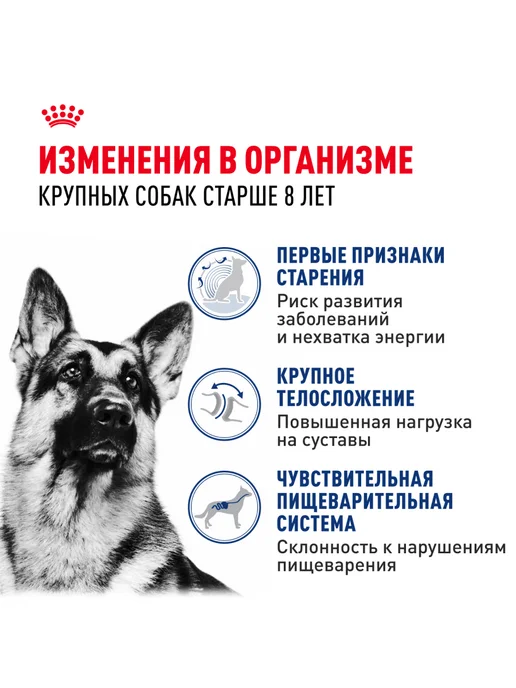 Сухой корм Royal canin Ageing для собак, крупные, 15 кг, фото 2