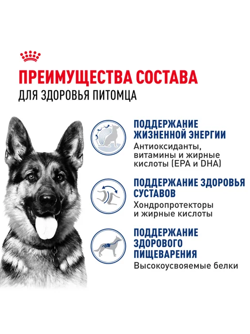 Сухой корм Royal canin Ageing для собак, крупные, 15 кг, фото 3