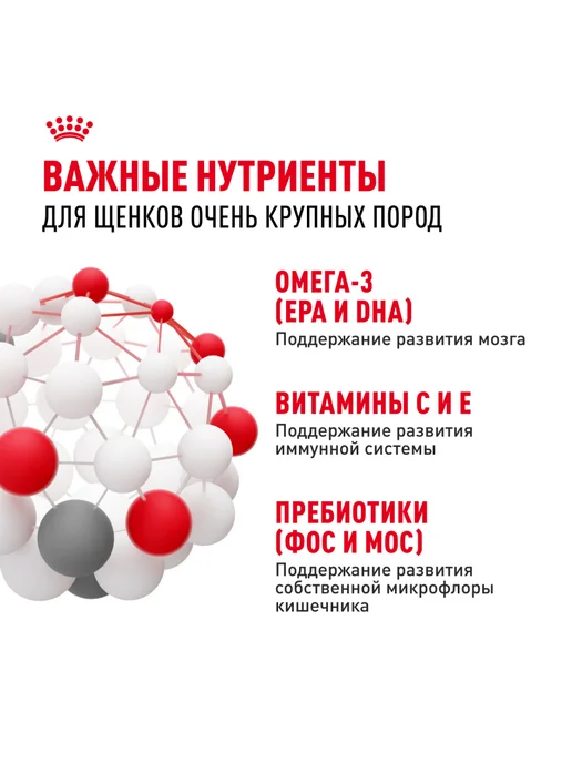 Сухой корм Royal canin Гигантских для собак, щенки, 15 кг, фото 5