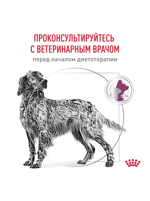 Сухой корм Royal canin Renal При для собак, 14 кг, фото 8