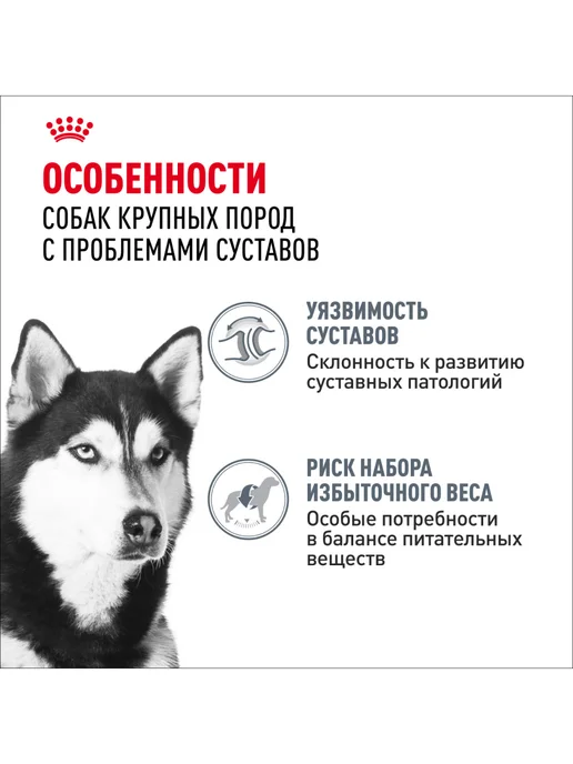 Сухой корм Royal canin Joint Care для собак, крупные, 10 кг, фото 2