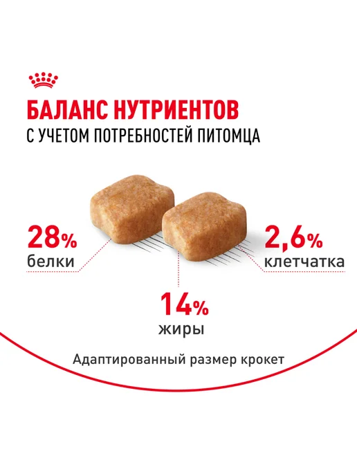 Сухой корм Royal canin Такса для собак, курица, 7,5 кг, фото 4