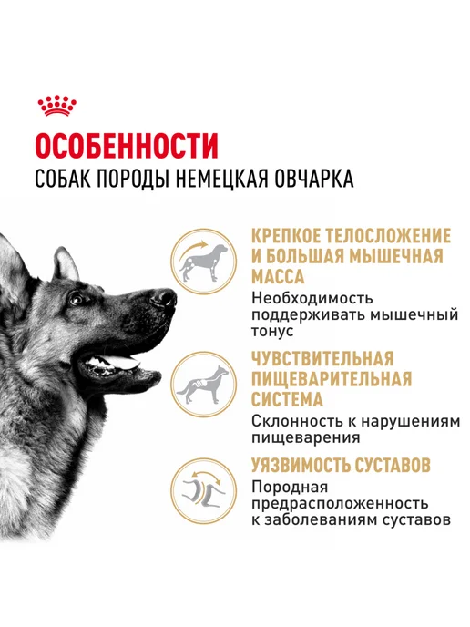 Сухой корм Royal canin Немецкая Овчарка для собак, 11 кг, фото 2