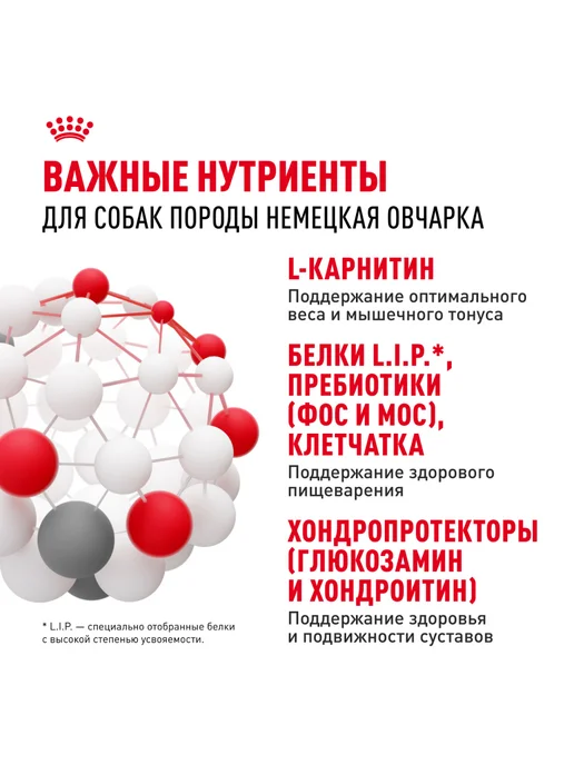 Сухой корм Royal canin Немецкая Овчарка для собак, 11 кг, фото 5