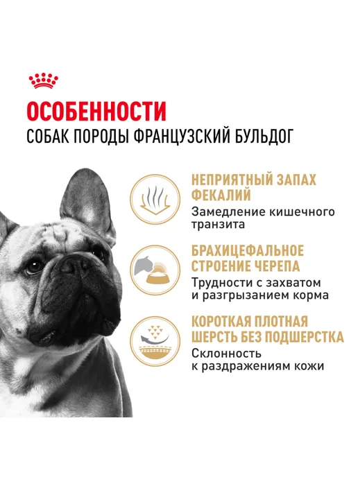 Сухой корм Royal canin Французский Бульдог для собак, 9 кг, фото 2