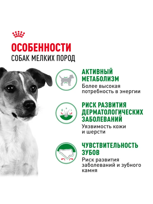 Сухой корм Royal canin для собак, взрослые, мелкие, курица, 8 кг, фото 2