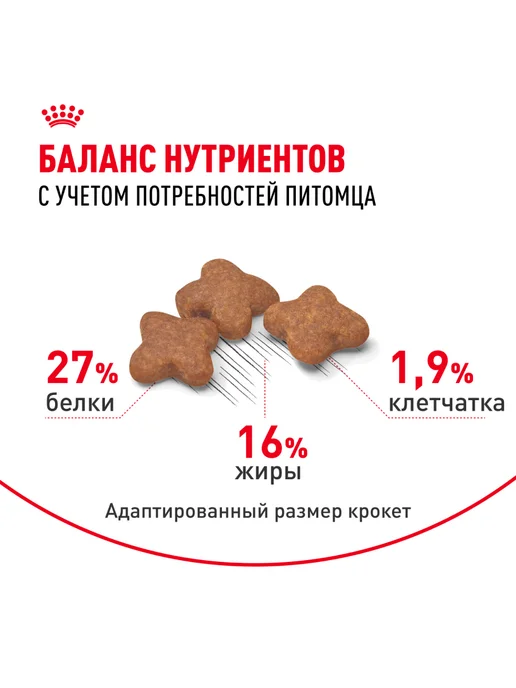 Сухой корм Royal canin для собак, взрослые, мелкие, курица, 8 кг, фото 4