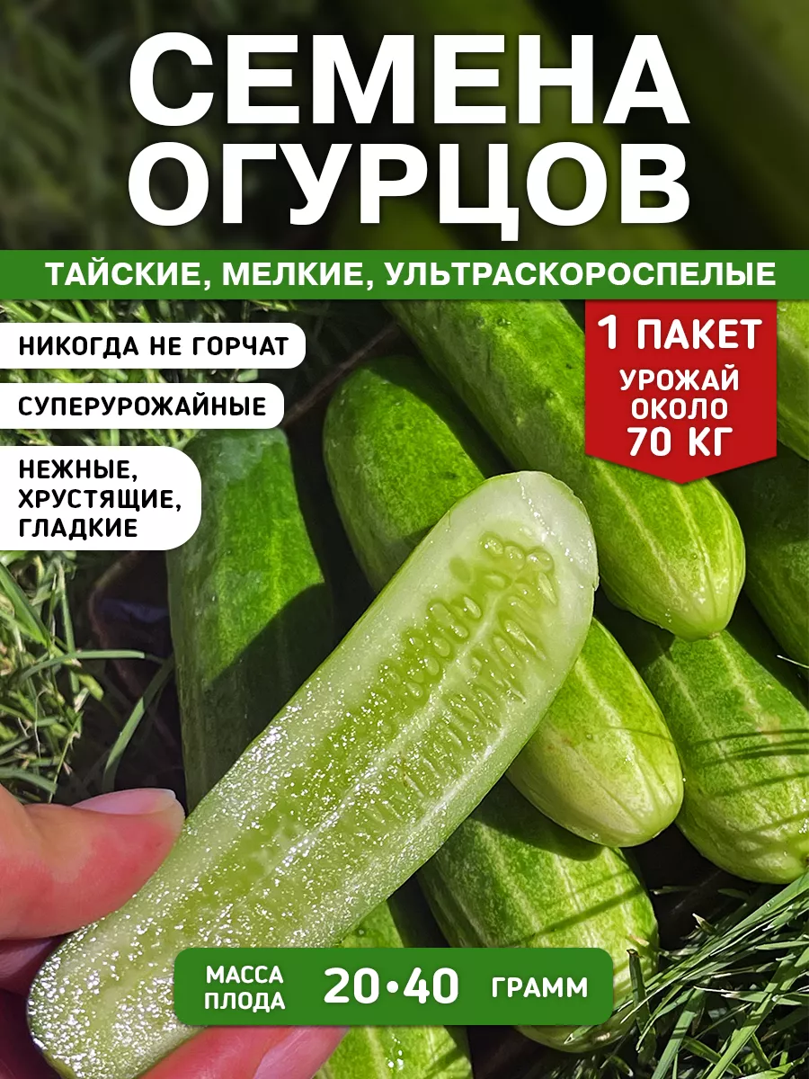 Опасно ли есть огурцы с кожурой — видео | О здоровье и медицине - советы врачей