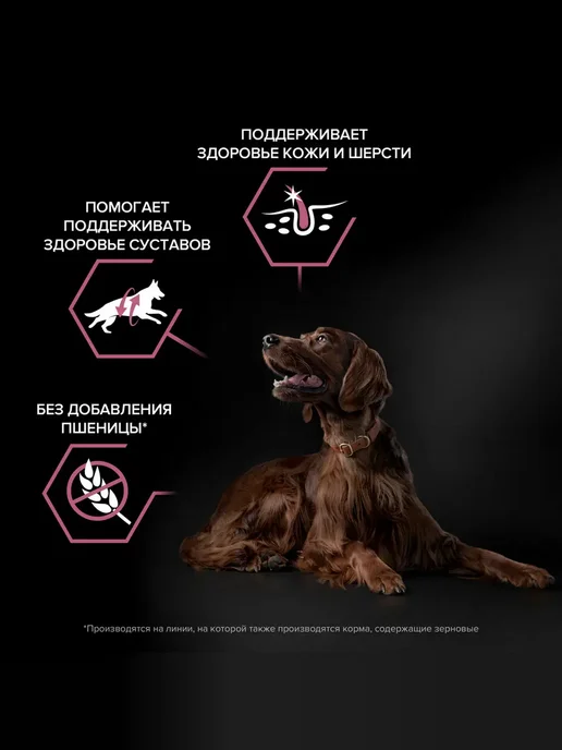 Сухой корм PRO PLAN Атлетического Телосложения для собак, крупные, 14 кг, фото 2