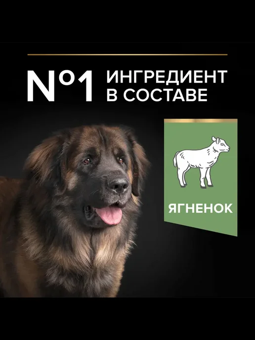 Сухой корм PRO PLAN Пищеварением для собак, чувствительное пищеварение, 14 кг, фото 7