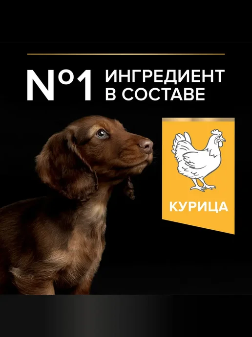 Сухой корм PRO PLAN для собак, мелкие, щенки, курица, 3 кг, фото 7