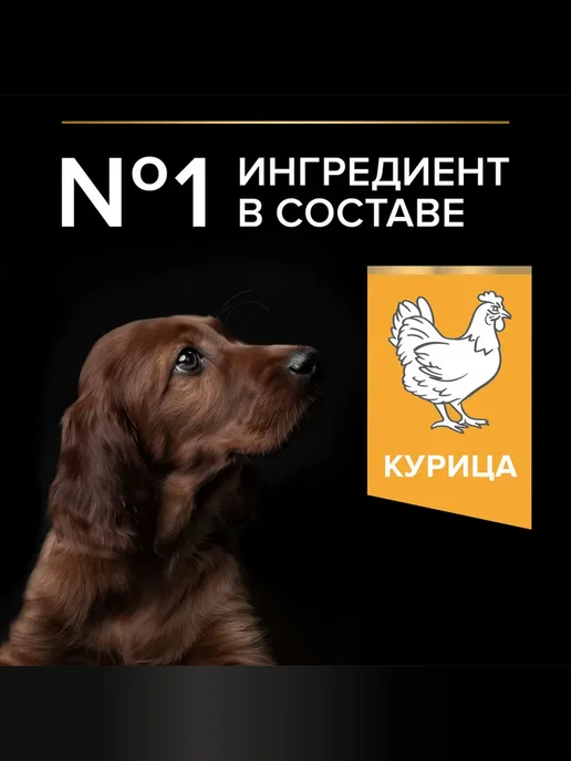 Сухой корм PRO PLAN Athletic для собак, крупные, щенки, курица, 12 кг, фото 7