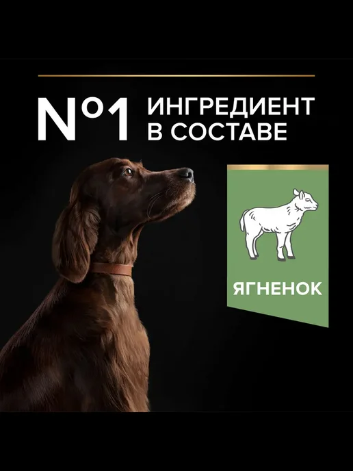 Сухой корм PRO PLAN Пищеварением для собак, крупные, чувствительное пищеварение, 3 кг, фото 7