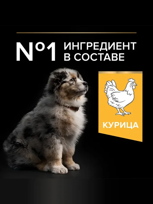 Сухой корм PRO PLAN для собак, средние, щенки, курица, 12 кг, фото 8