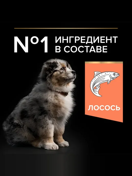 Сухой корм PRO PLAN Кожей для собак, чувствительное пищеварение, щенки, лосось, 12 кг, фото 7