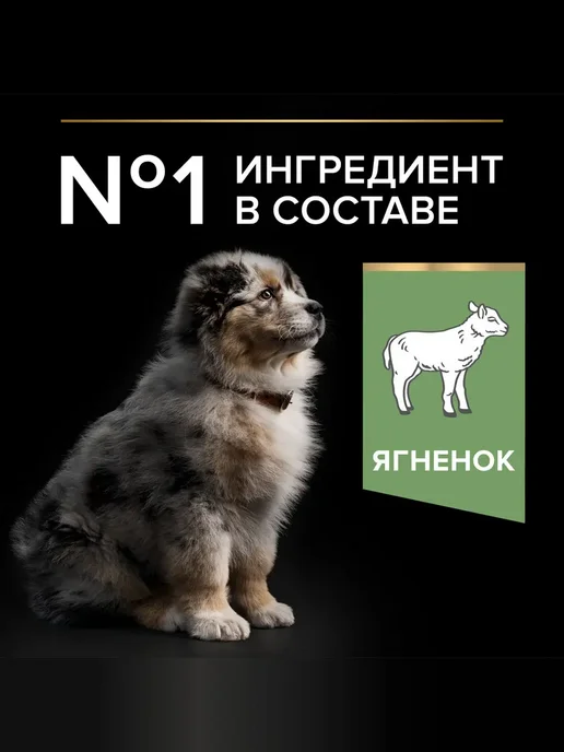 Сухой корм PRO PLAN Пищеварением для собак, чувствительное пищеварение, щенки, ягненок, 12 кг, фото 7