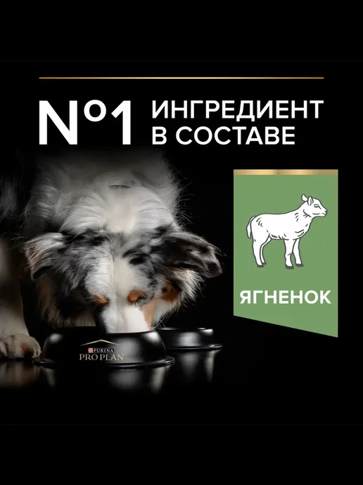 Сухой корм PRO PLAN для собак, средние, ягненок, 14 кг, фото 7