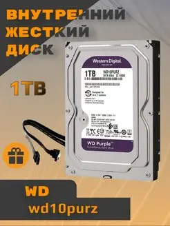 1 ТБ Жесткий диск WD Purple WD10PURZ Western Digital 145711103 купить за 2 923 ₽ в интернет-магазине Wildberries