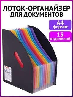 Лоток органайзер для рисунков бумаг документов 13 отделений Brauberg 145711120 купить за 521 ₽ в интернет-магазине Wildberries