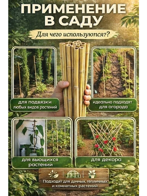 БАМБУК ОПОРЫЧ Опора для растений и цветов колышки бамбук 60 см, 10 шт, 10 шт, фото 5