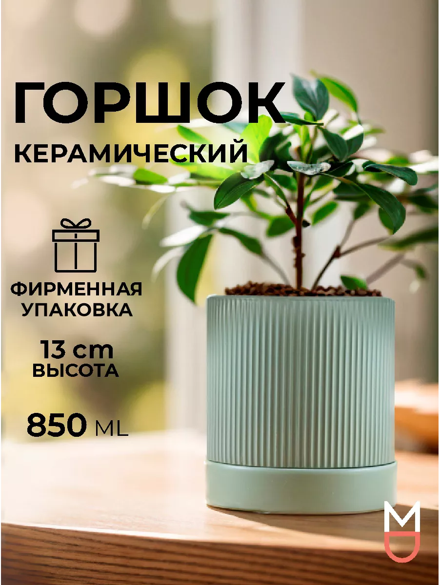 Оригинальные горшки для цветов – купить в интернет-магазине Homedorf