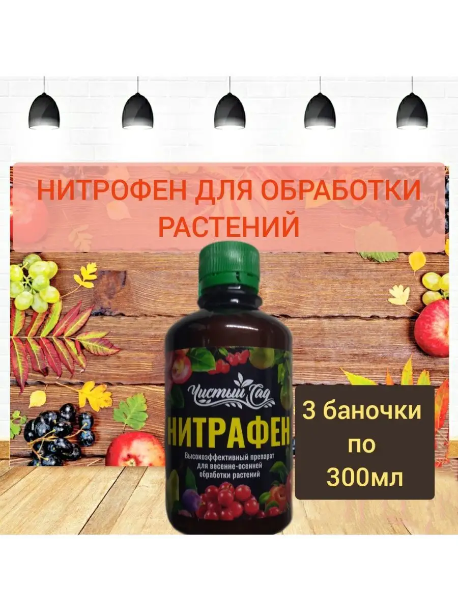 Нитрофен что это за препарат. Нитрофен 300мл препарат. Нитрофен для опрыскивания деревьев. Нитрофен аналоги. Нитрафен 300мл инсектохим