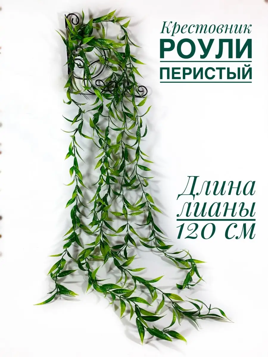 Лиана для декора/свисающая зелень/ампельный эвкалипт/самшит