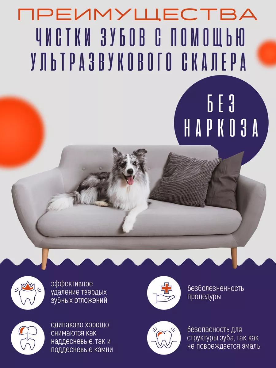 Скалер для собак, портативный ультрозвуковой Lip_Lip 145760097 купить за 1  747 ₽ в интернет-магазине Wildberries